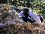 Bayerfeld_57